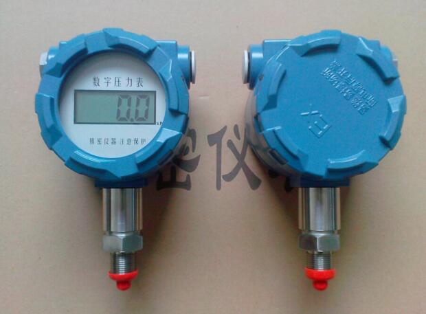 防爆數(shù)字壓力表